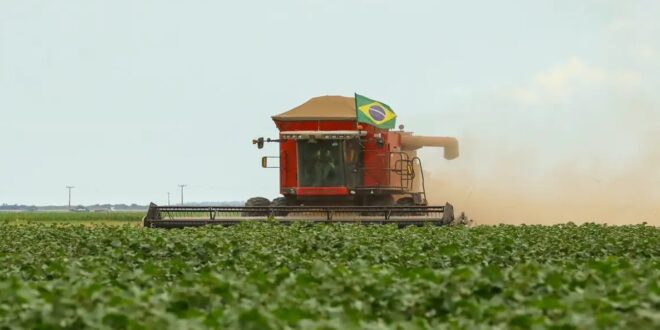 Foto: Divulgação/Ministério das Comunicações