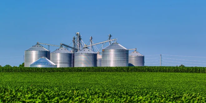 O agro também envolve relações comerciais e integração entre diferentes etapas da produção