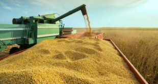 que os Fidcs ganharem força dentro do agronegócio brasileiro. A Força do Agro Co