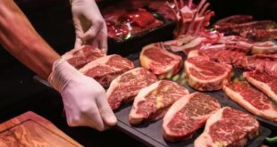 Foto: StockKing/Freepik