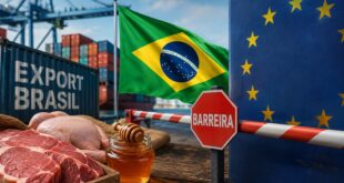 Imagem criada com o auxílio de inteligência artificial