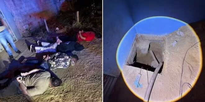 Divulgação/Polícia Civil do Distrito Federal" decoding="async" fetchpriority="high" srcset="https://