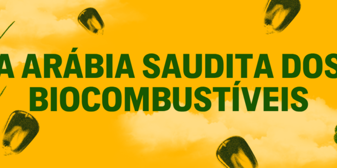 tagens complementares em: https://www.intercept.com.br/ e https://drilled.media/