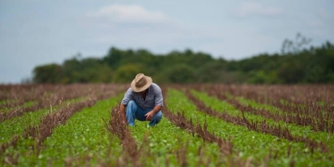 perdas e endividamentos foi aprovada pela Comissão de Assuntos Econômicos e agor